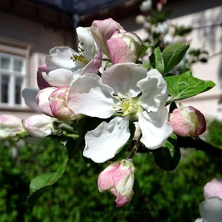 B&B Savikon Kartano Кити Экстерьер фото