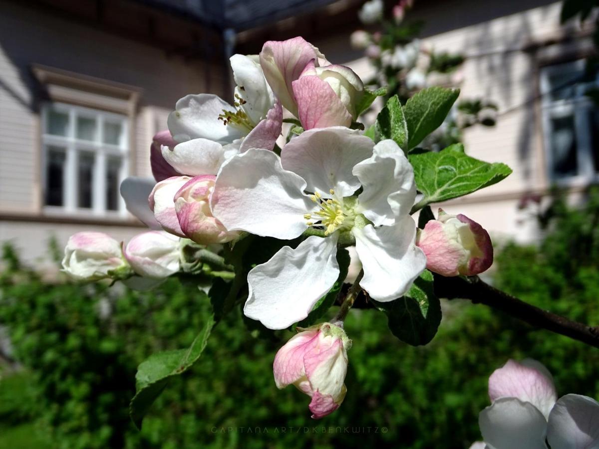 B&B Savikon Kartano Кити Экстерьер фото