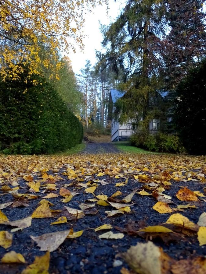 B&B Savikon Kartano Кити Экстерьер фото